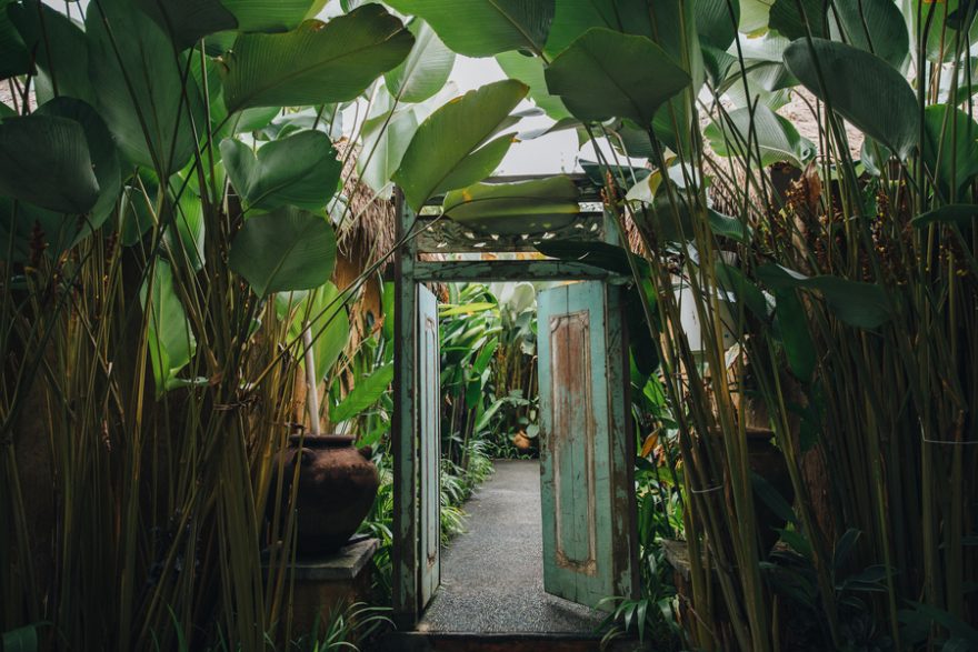 Open doorway leading to a planted outdoor balcony